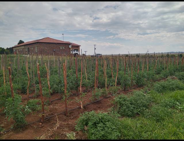 8.80HA FARM FOR SALE IN MAGALIESBURG